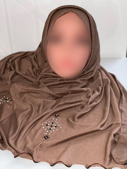 JERSEY BRUIN MET STEENTJES